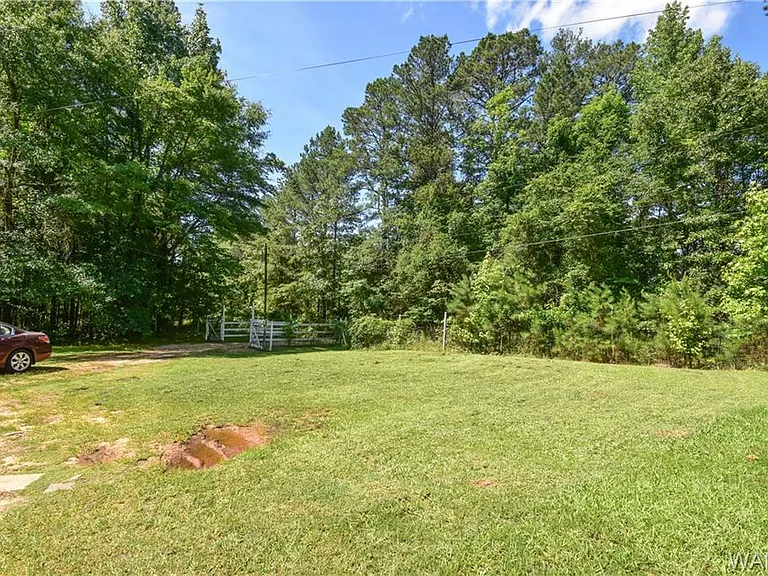 184 Price Rd — Photo 5