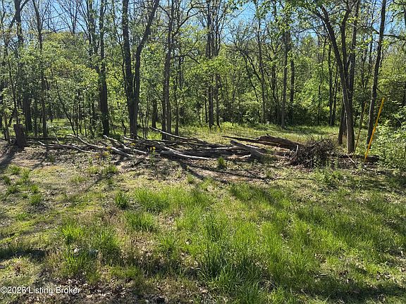 5th image of 305 Long Run Rd
