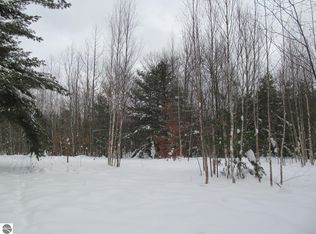 W 13th St, Cadillac, MI 49601