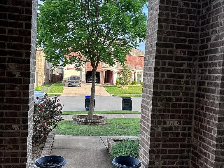 912 Foxtail Dr — Photo 5