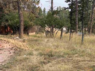 25148 Bear Rock Rd, Custer, SD 57730