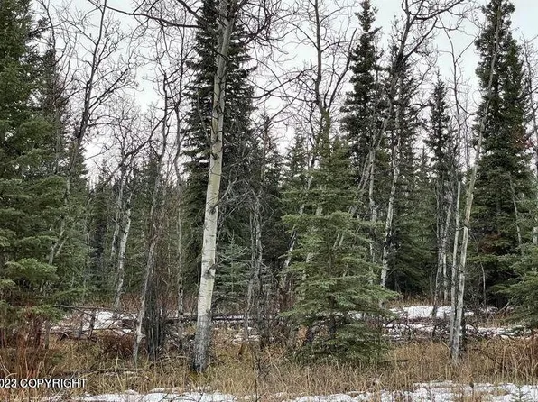 L11 Tazlina Loop, Glennallen, AK 99588