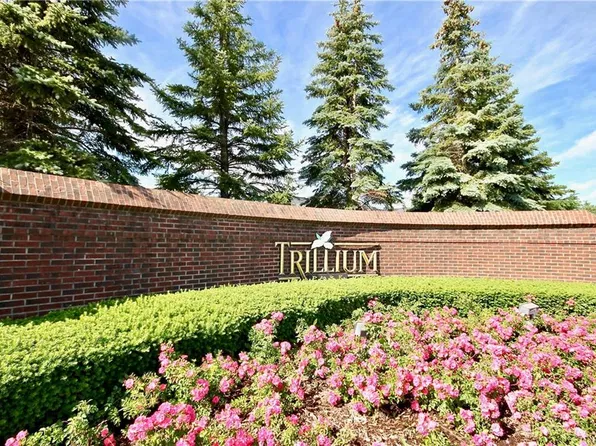 35104 Emma Cir #1, Commerce Township, MI 48390