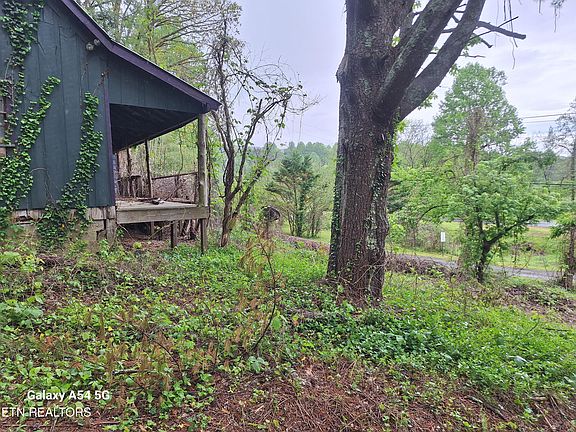 5th image of 5303 Dalton Ln
