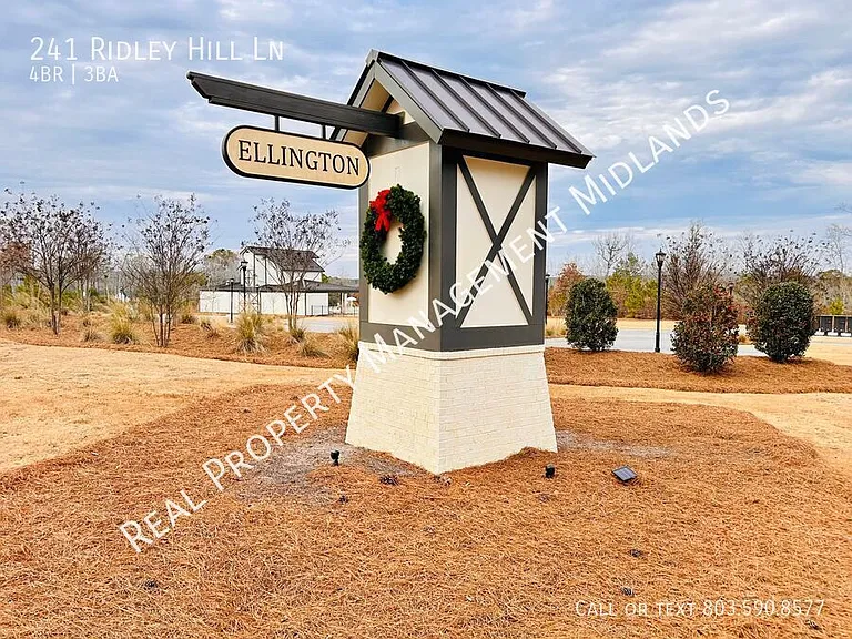 241 Ridley Hill Ln — Photo 22