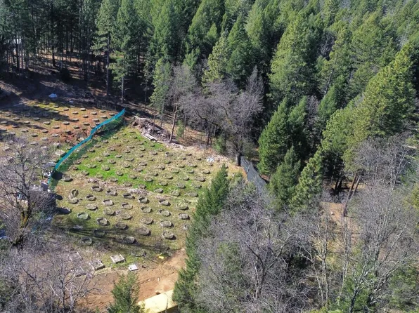 2008 Trinity Pines Dr, Hayfork, CA 96041