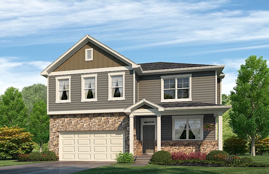 Elevation Image 1.