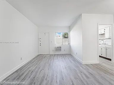 Living room area and kitchen