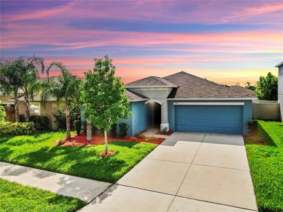 17136 Sunshine Mimosa St, Wimauma, FL, 33598
