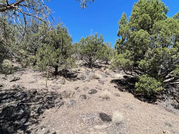 Dwinnell Rd Unit 2, Weed, CA 96094