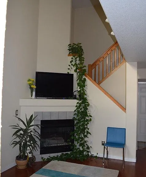 Living room with gas fireplace