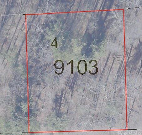 2nd image of 9999 Blackberry Ln #4