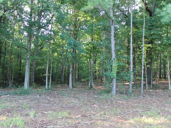 2 Lick Creek Rd, Michie, TN 38357