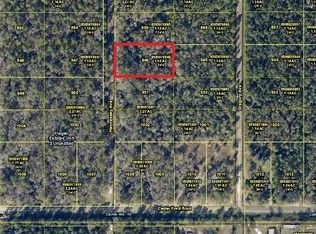 10330 Hennessey Ave, Hastings, FL 32145