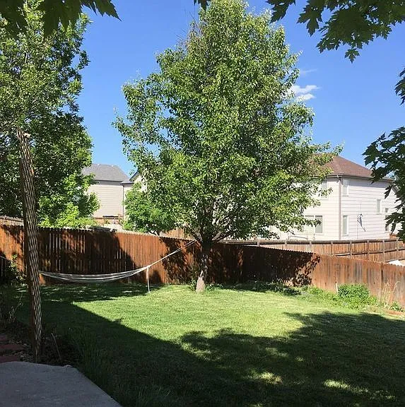 12962 Kearney Way — Photo 19