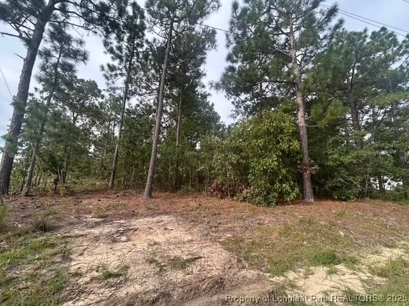 1218 & 1233 Loop Rd, Raeford, NC 28376