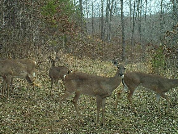 5th image of 805 Trails End Lot K3