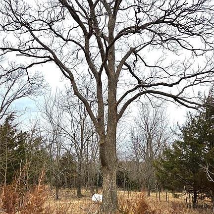 5th image of 13748A N Knapp Rd