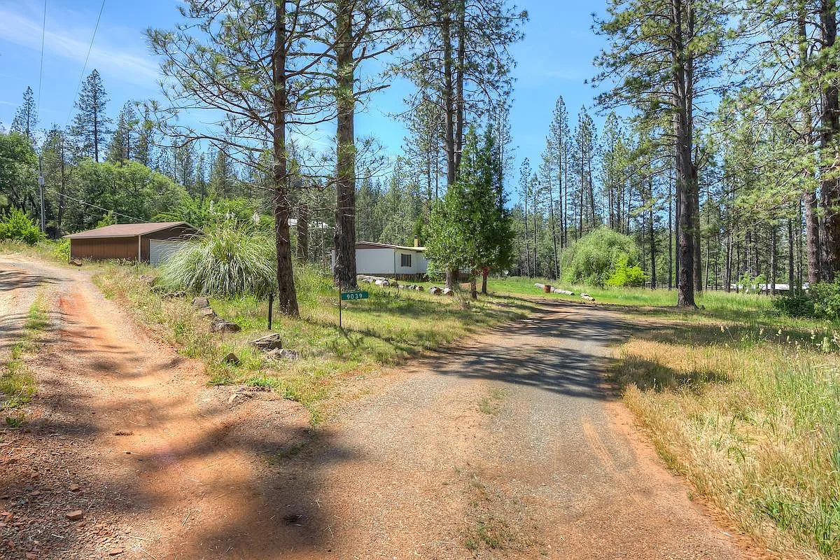 9039 Seven Springs Trl photo 1