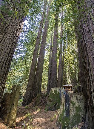 2nd image of 17513 Skyline Blvd