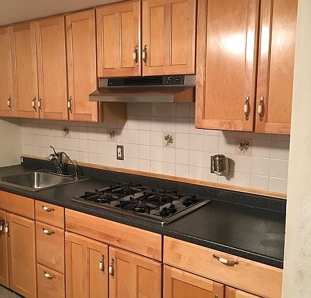 5th image of 313 Reindel Pl