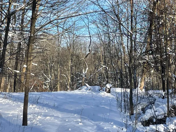 54185 Garrett Rd, Dowagiac, MI 49047