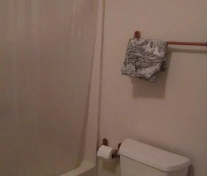 down stairs bathroom