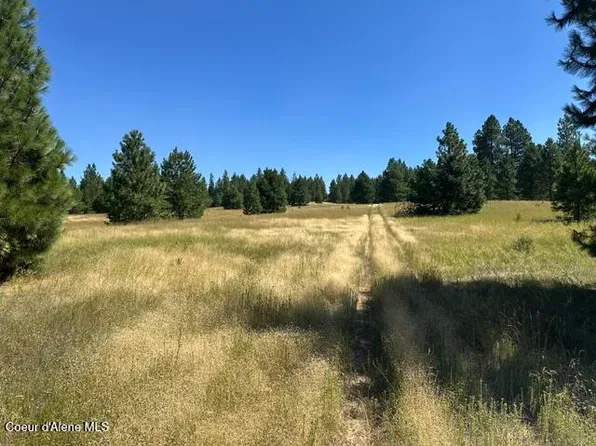 PARCEL Highway 95 #B, Plummer, ID 83851