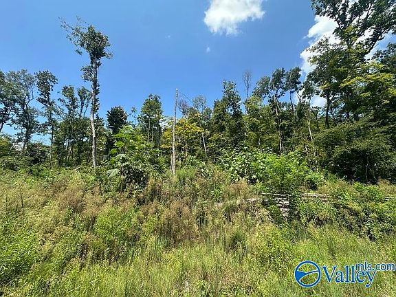 5th image of 930 Dug Hill Rd