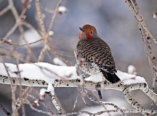 711 Royal Ridge Dr, Bailey, CO 80421