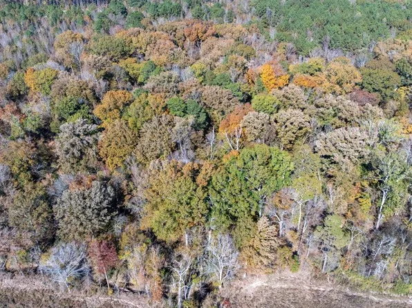 J C Prestage Rd, Pelahatchie, MS 39145