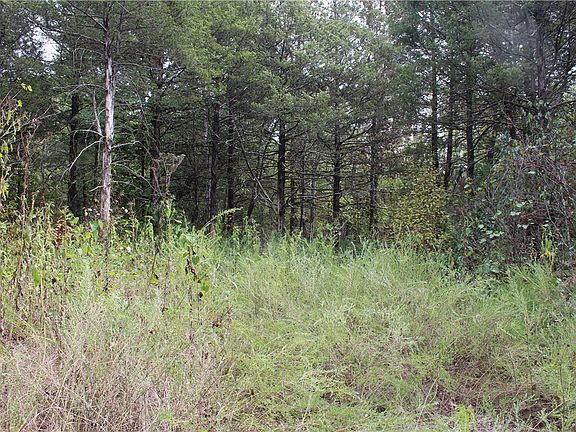 2nd image of County Road 2322