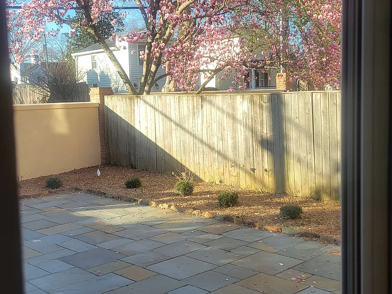 216 E Marshall St — Photo 18