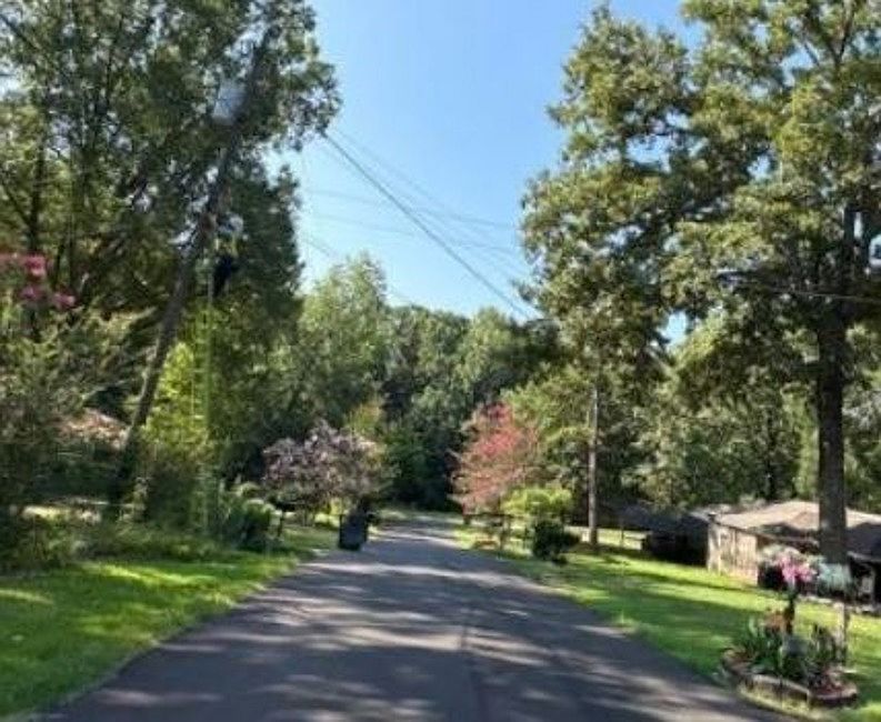 Exterior Neighborhood (street photo)
