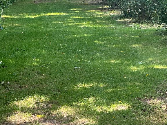 OUR PATH FROM BACK YARD TO LAKE.