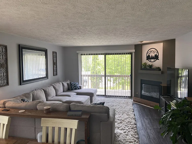 Living Room Pic 5