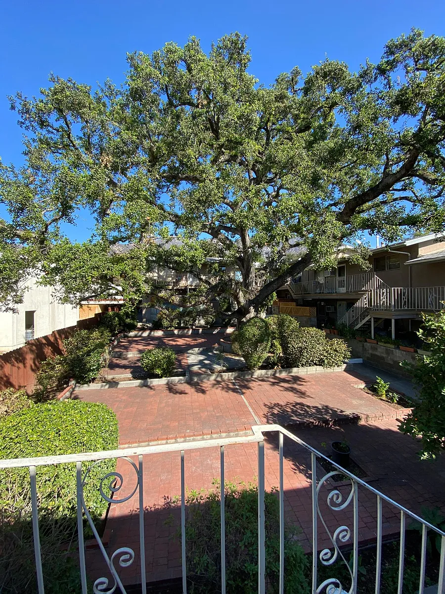 Building Photo - 737 E Pine St #8