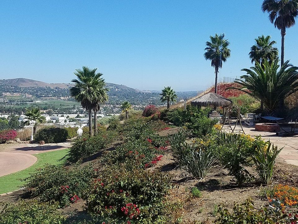 View from Studio's Bay Window