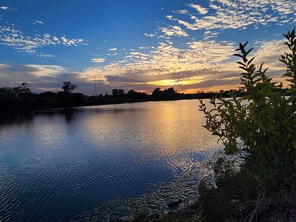 Pond