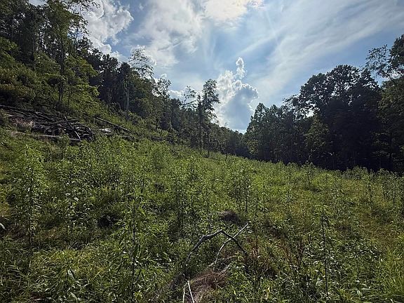 3rd image of Knights Fork Rd