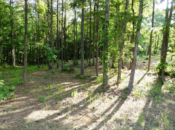 75 Harbor Light Trl, Jasper, AL 35504