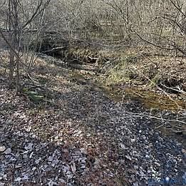 4th image of 1 Secretarys Sand Rd #2