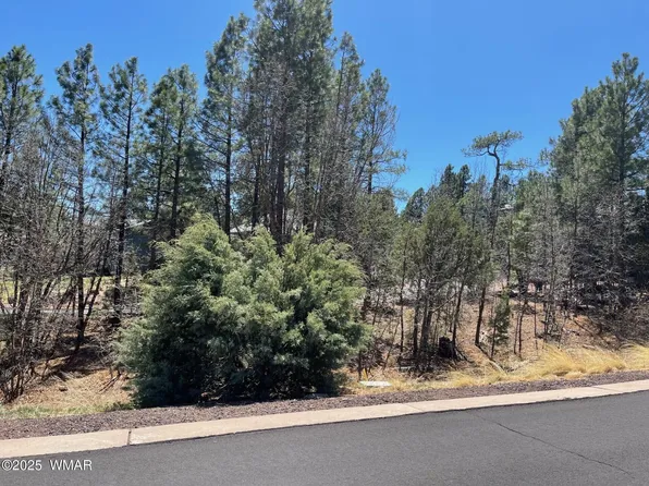 2621 S Marshalls Run, Show Low, AZ 85901