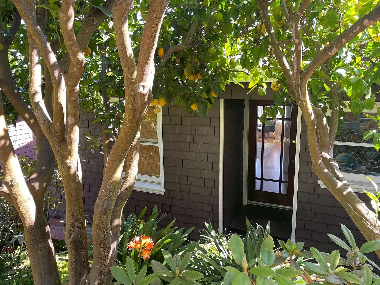 1 bed, 610 sqft, $4,200 — Photo 3