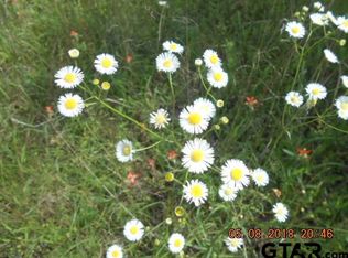 0 Rs County Rd #1285, Emory, TX 75440