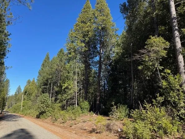 17303 Indiana Ranch Rd, Dobbins, CA 95935