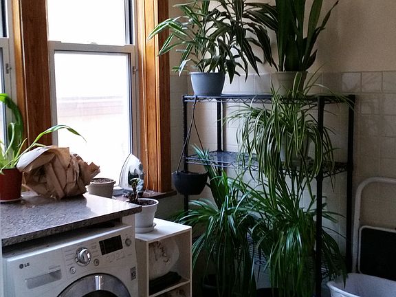2nd image of 851 N Hoyne Ave APT 3R