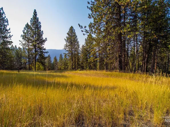 0 Summitview Dr, Ahsahka, ID 83520