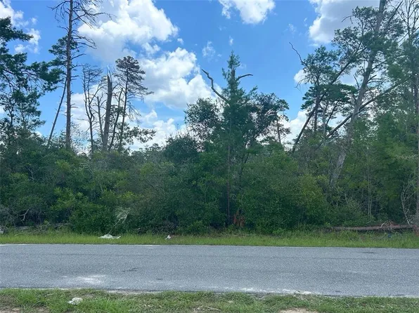 8191 N FEATHER AVENUE LOT 8, CITRUS SPRINGS, FL 34433
