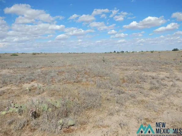 Cumbres Dr, Roswell, NM 88201